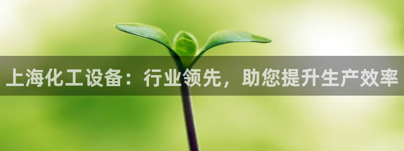 新航娱乐公司扣费流程详解图