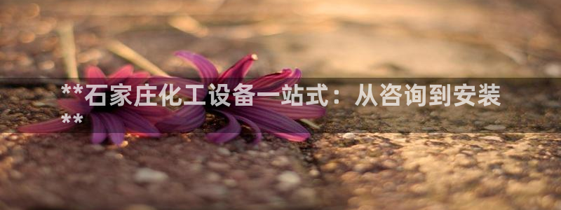 新航娱乐公司简介和历史背景