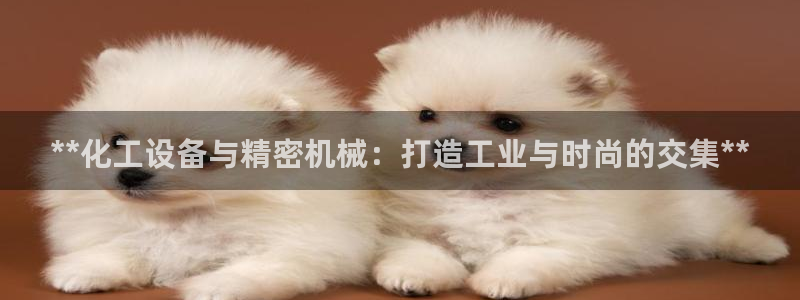 新航娱乐集团最新消息官网