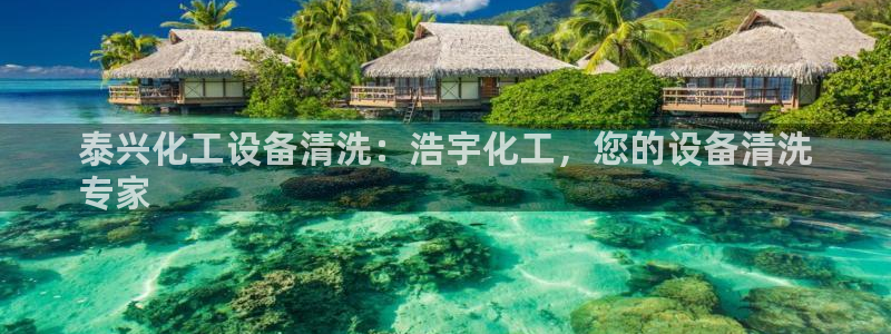 新航娱乐公司旗下艺人