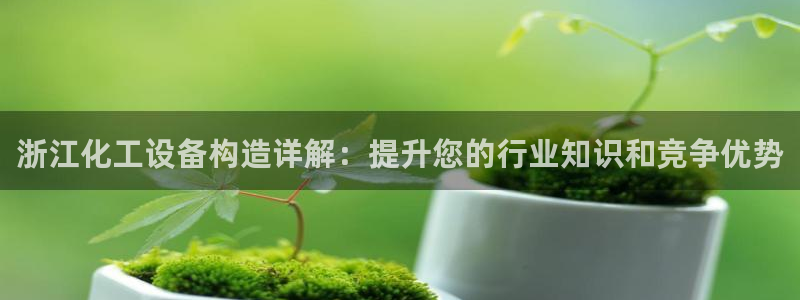 新航娱乐的员工工资福利及待遇怎么样