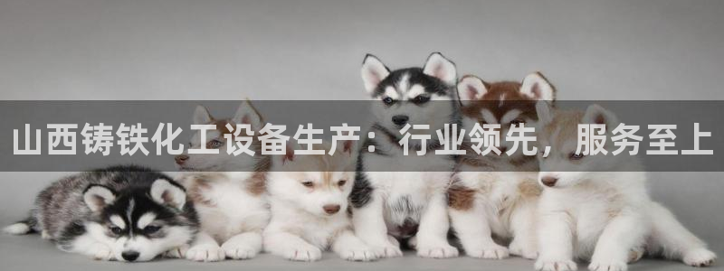 新航娱乐app官方免费下载苹果