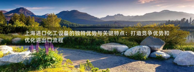 新航娱乐公司简介和历史背景介绍