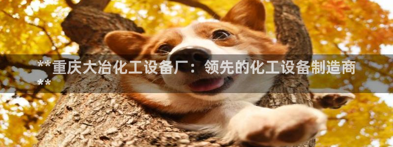 新航娱乐的创始人背景