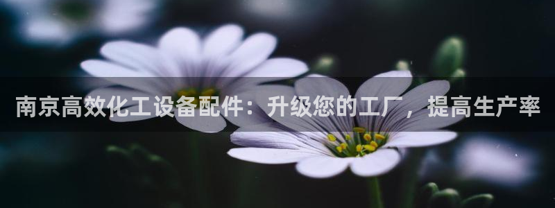 新航娱乐公司旗下艺人