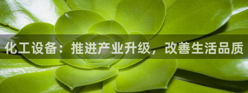 新航娱乐的创始人背景
