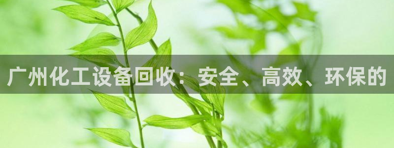 新航娱乐倒闭了吗知乎全文