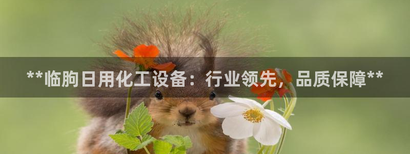 新航娱乐app最新版本更新内容是什么呢