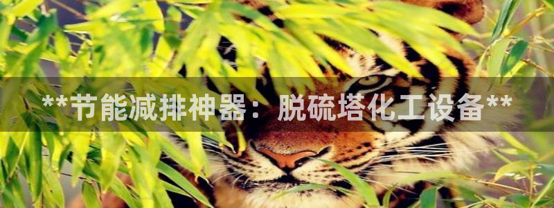 新航娱乐公司扣费流程详解图