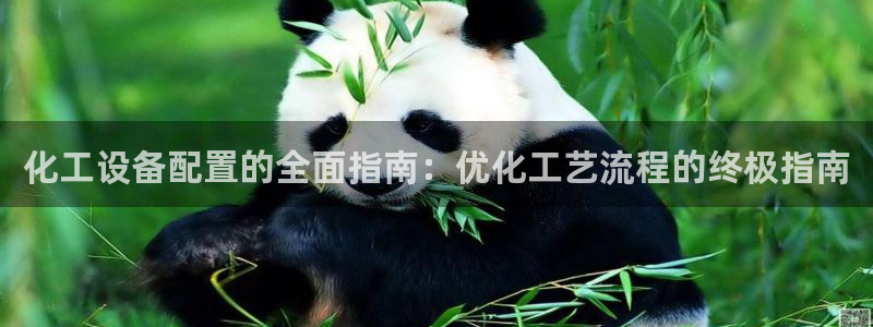 新航娱乐的创始人背景是什么