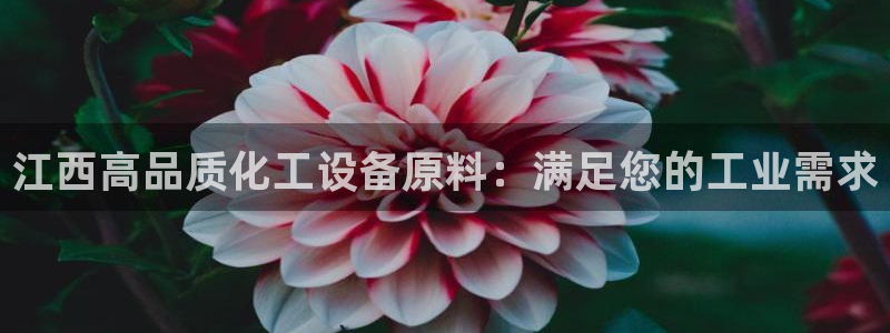新航娱乐扣款详情