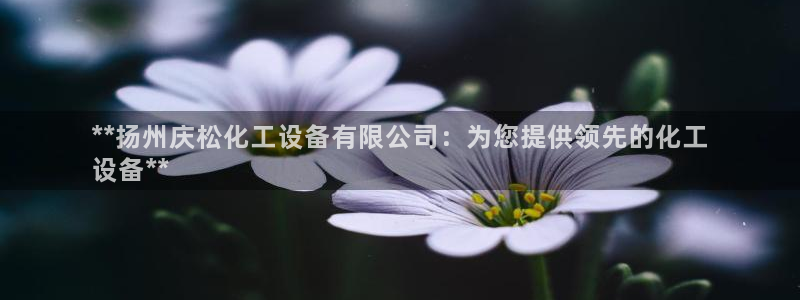 新航娱乐app的最新版本更新内容在哪里