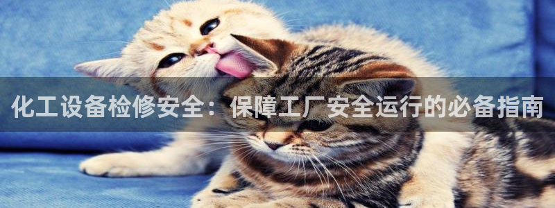 新航娱乐入网要求