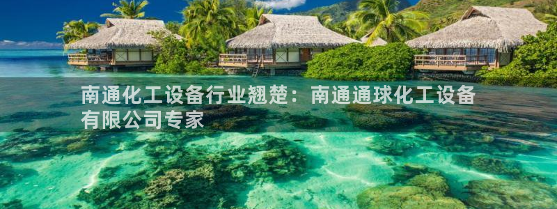 新航娱乐平台用户评价及反馈