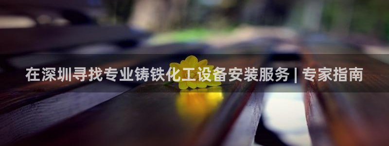 新航娱乐公司扣费流程详解表格