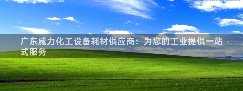 新航娱乐旗下艺人列表