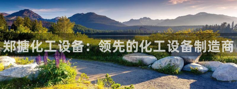 新航娱乐公司简介和历史背景怎么写