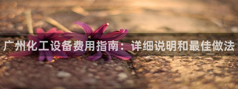 新航娱乐倒闭了吗知乎全文