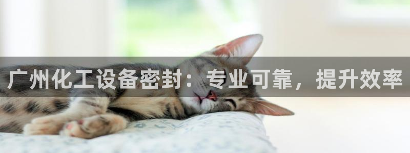 新航娱乐探索无限撼底空间