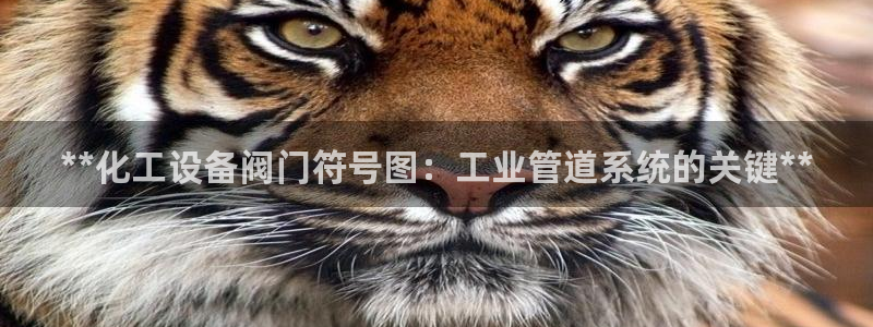 新航娱乐入网要求