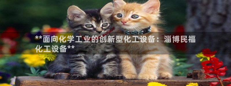 新航娱乐APP的最新版本更新内容