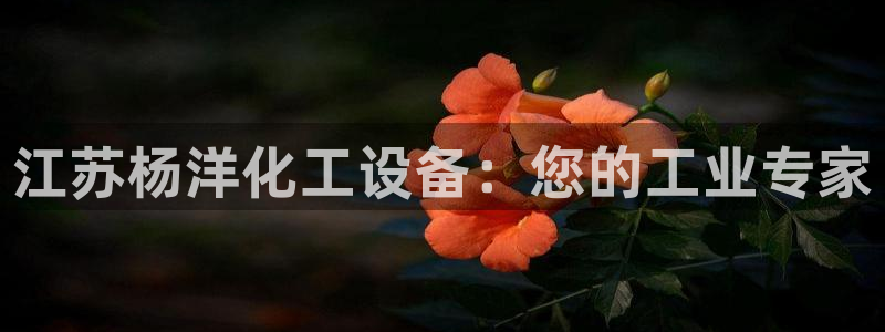 新航娱乐app手机版官网下载安装
