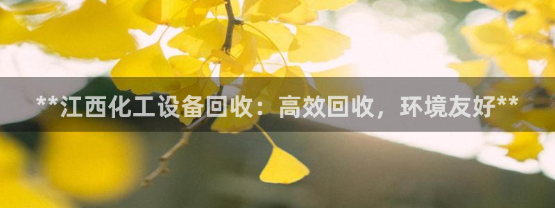 新航娱乐的背景和历史背景介绍
