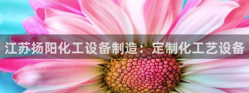 新航娱乐app手机版官网