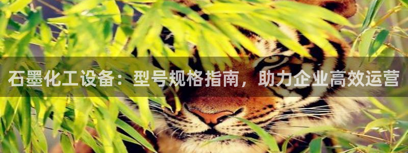 新航娱乐属于什么级别