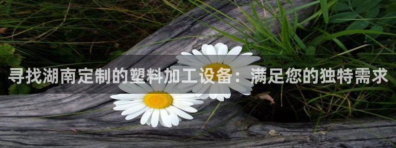 新航娱乐官网最新版本更新内容下载
