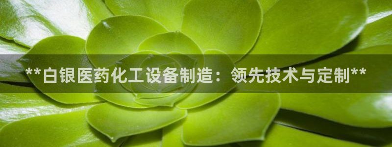 新航娱乐app的最新版本更新内容是什么