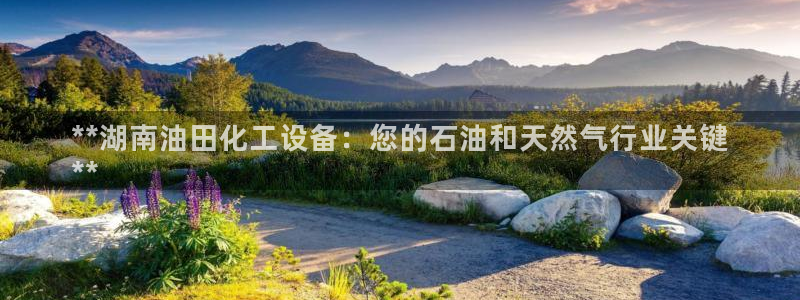 新航娱乐公司扣费流程详解视频