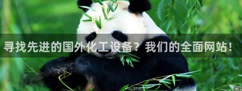 新航娱乐的背景和历史背景介绍