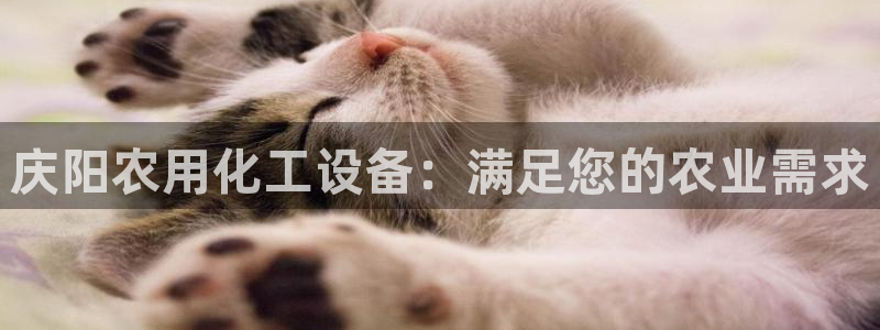 新航娱乐官网下载
