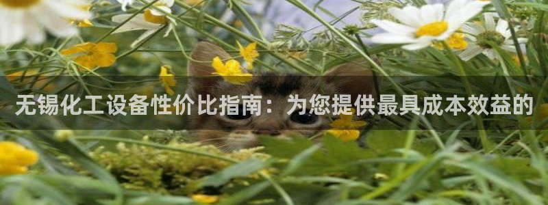新航娱乐扣款后还能重新扣费吗知乎