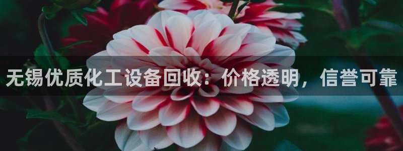 新航娱乐公司扣费流程详解表