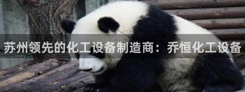 新航娱乐的员工工资福利及待遇怎么样