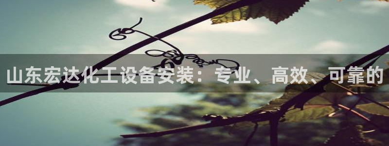新航娱乐公司简介和历史背景怎么写