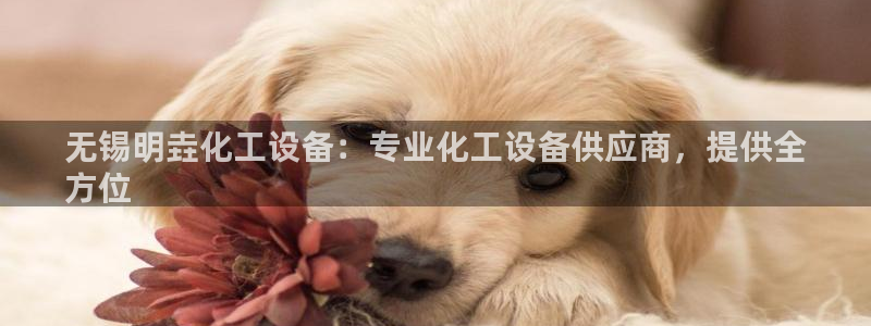 新航娱乐探索无限撼底空间
