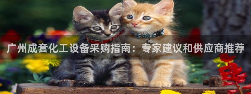 新航娱乐app最新版本更新内容在哪看