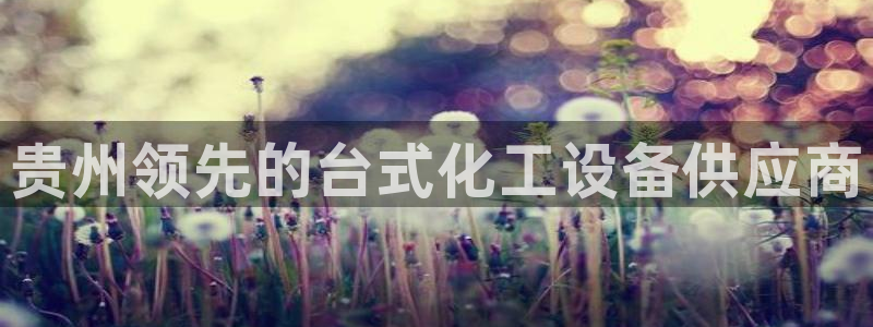 新航娱乐旗下艺人名单