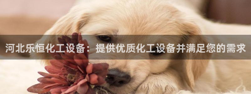 新航娱乐app官方免费下载安装