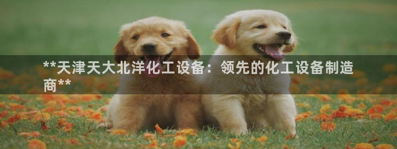 新航娱乐APP的最新版本更新内容