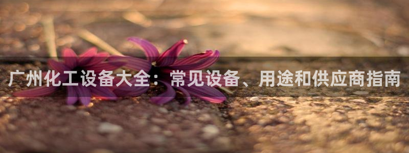 新航娱乐倒闭了吗知乎全文