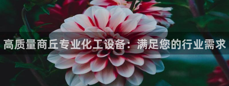 新航娱乐的会员权益与保障在哪