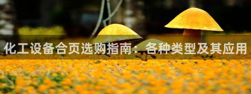 新航娱乐公司旗下艺人