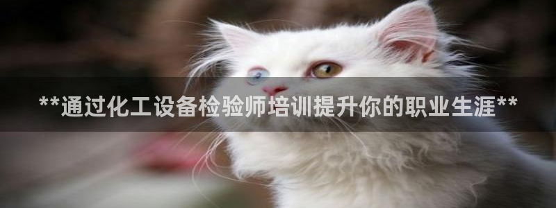 新航娱乐安卓版下载