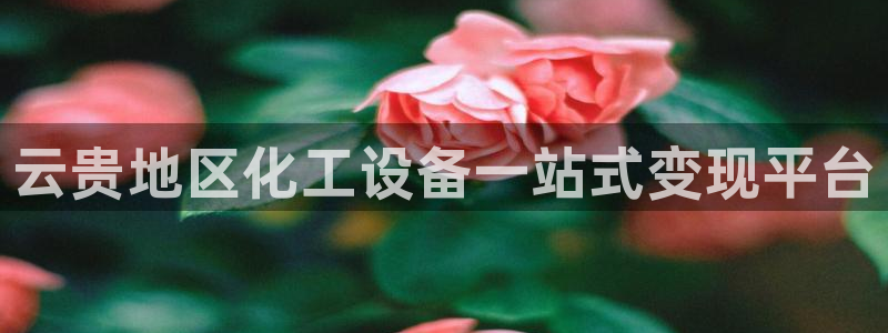 新航娱乐雀7IIII2联他前