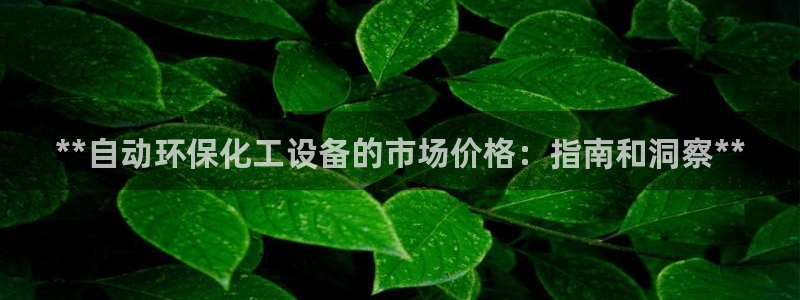 新航娱乐的创始人简介资料