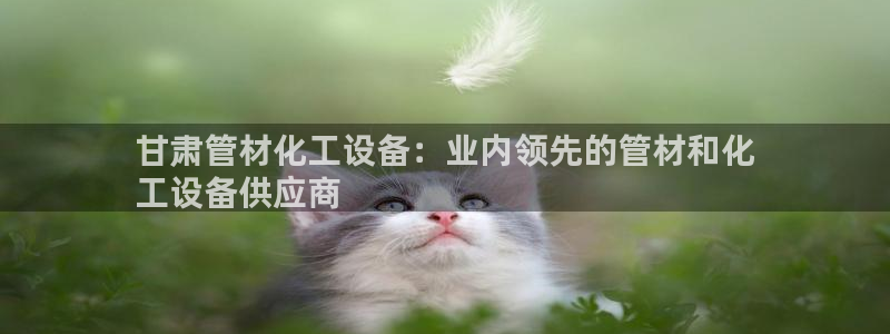 新航娱乐背后的老板